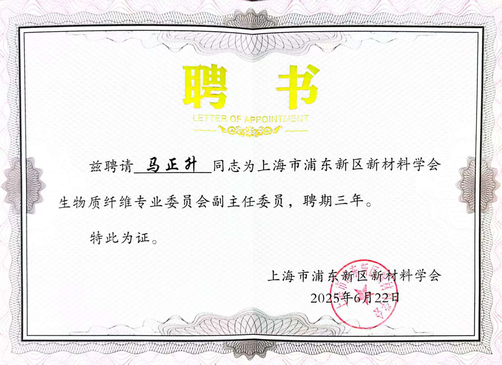 上海市浦东新区新材料学会生物质纤维专业委员会副主任委员